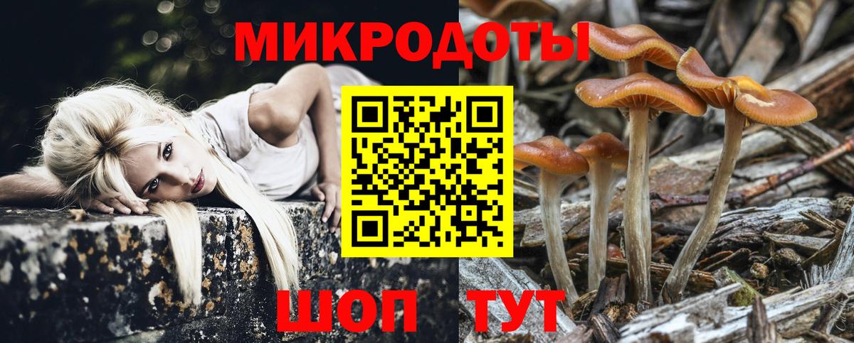 Галлюциногенные грибы Psilocybine cubensis  Вход с VPN  Кириши 
